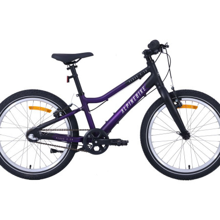 Велосипед детский Alpinebike Pegas 3-20 фиолетовый космос