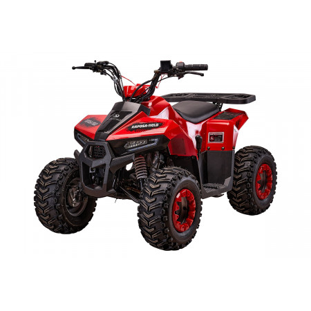 Комплект запчастей ATV YACOTA RAPOSA 110