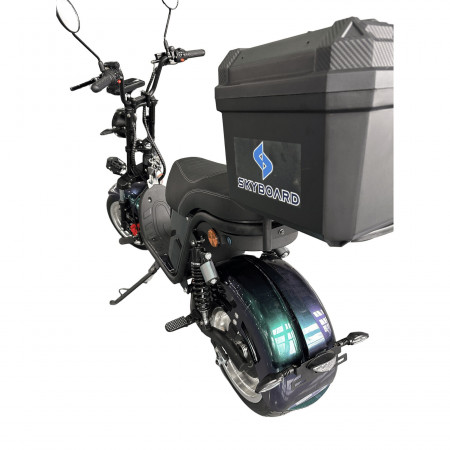 Электроскутер Skyboard Ural 2WD + LiFePo4 (с подогревом)