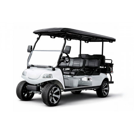 Гольфкар Rutrike Carrier 6