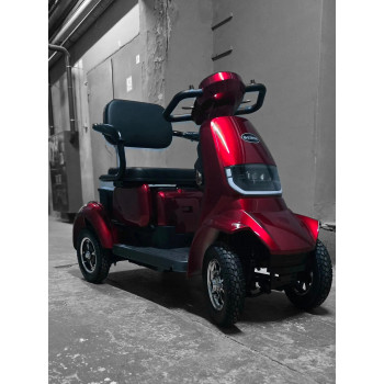 ER-SCOOTERS Agama 2