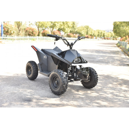 Skyboard CyberTruck Sochi Kids 800W