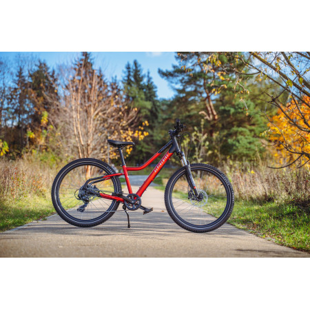 Велосипед подростковый Alpinebike Pegas 7-24 рассветный оранжевый