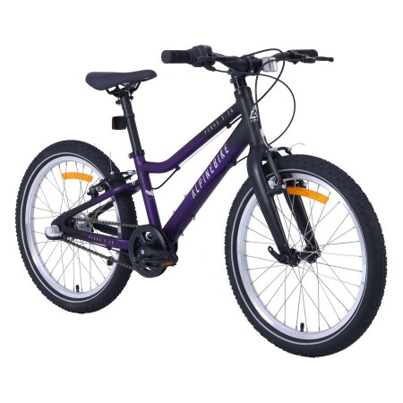 Велосипед детский Alpinebike Pegas 3-20 фиолетовый космос