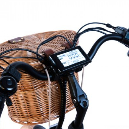 Электровелосипед Elbike Monro
