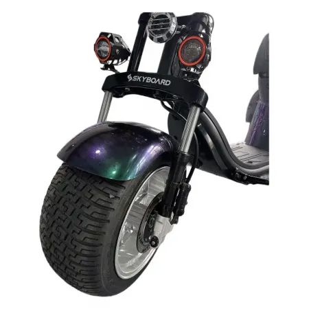Электроскутер Skyboard MyRussia 3000W + LiFePo4 (с подогревом)