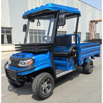 Гольфкар GreenCamel Сонора A2C 1500 (2+Cargo 1800W R10) пониженная