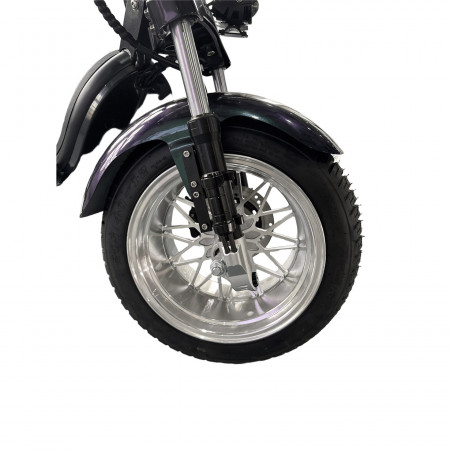Электроскутер Skyboard MyRussia 3000W + LiFePo4 (с подогревом)