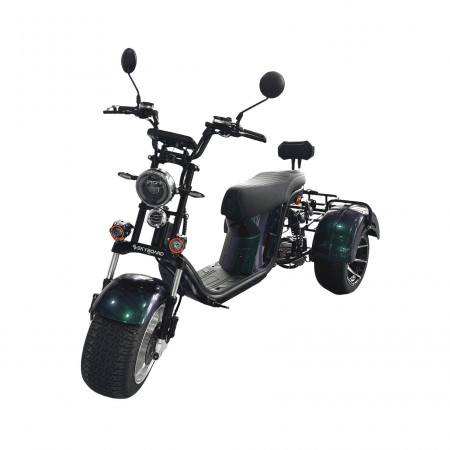 Электроскутер Skyboard MyRussia 3000W + LiFePo4 (с подогревом)