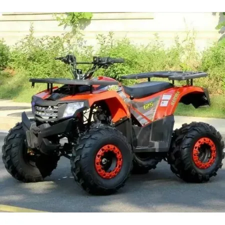 Бензиновый квадроцикл WELS Thunder AX125