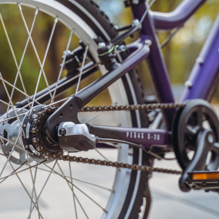 Велосипед детский Alpinebike Pegas 3-20 фиолетовый космос