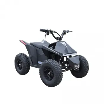 Skyboard CyberTruck Sochi Kids 800W