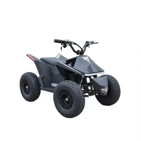 Skyboard CyberTruck Sochi Kids 800W