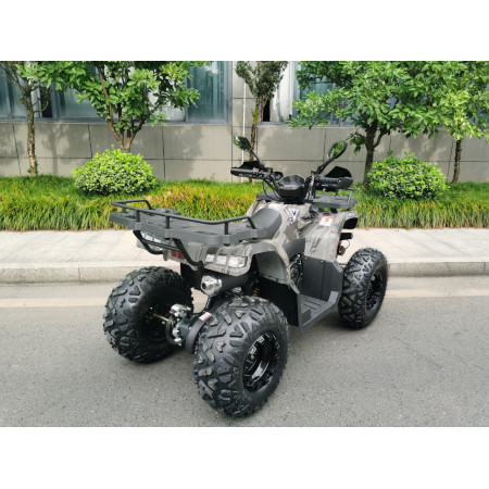 Бензиновый квадроцикл MOTAX GRIZLIK T 200 LUX