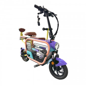 Электроскутер Skyboard Piter 500W