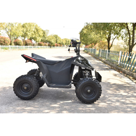 Skyboard CyberTruck Sochi Kids 800W