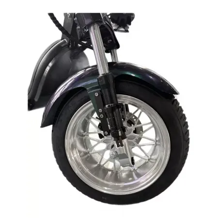 Электроскутер Skyboard MyRussia 3000W + LiFePo4 (с подогревом)