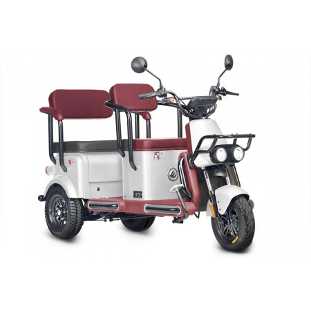 Электротрицикл Wanshida U1-X 60V 800Вт, 0000307