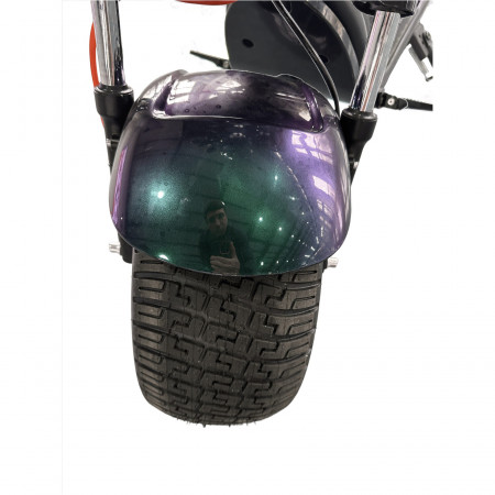 Электроскутер Skyboard Ural 2WD + LiFePo4 (с подогревом)