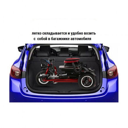 Электротрицикл Elbike Адъютант А1