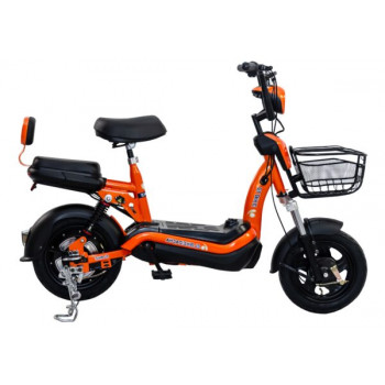 Elbike Dacha 20
