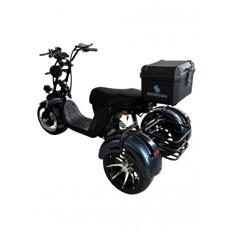 Электроскутер Skyboard MyRussia 3000W + LiFePo4 (с подогревом)