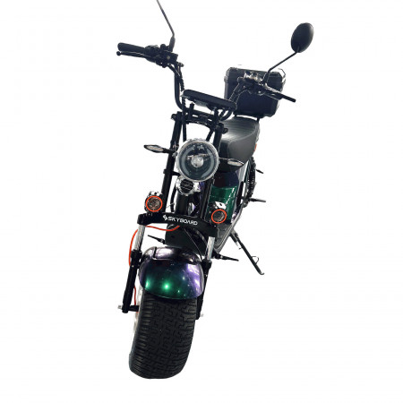 Электроскутер Skyboard Ural 2WD + LiFePo4 (с подогревом)