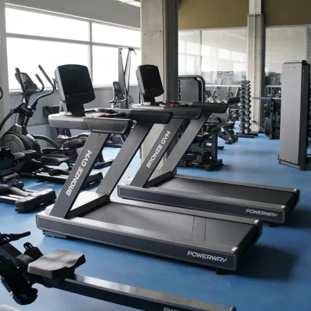 Беговая дорожка BRONZE GYM POWERWAY