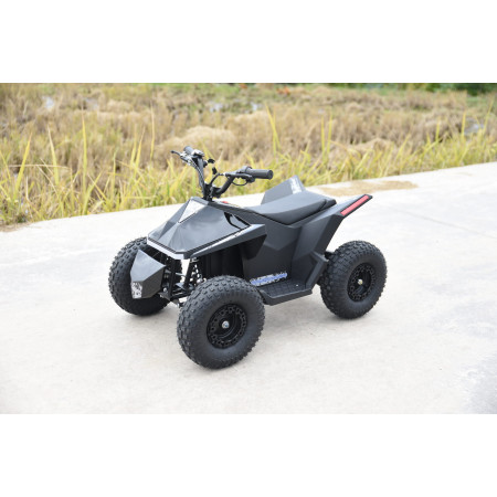 Skyboard CyberTruck Sochi Power 1000W