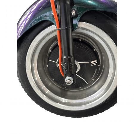 Электроскутер Skyboard Ural 2WD + LiFePo4 (с подогревом)