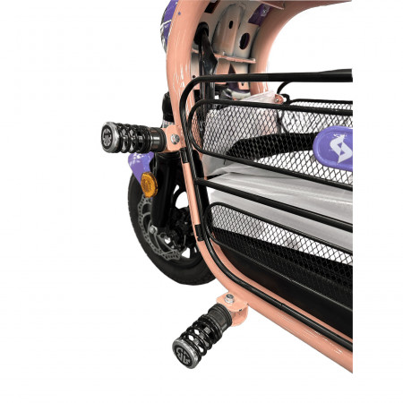 Электроскутер Skyboard Piter 500W