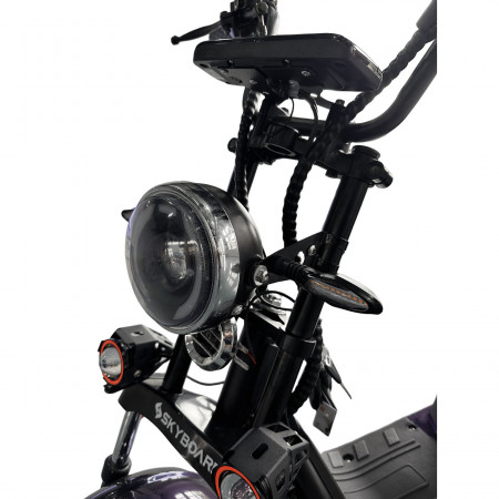 Электроскутер Skyboard Ural 2WD + LiFePo4 (с подогревом)