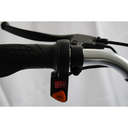 Электробайк GreenCamel Трайк-24 V3 (R24 350W 48V12Ah) 7 скор