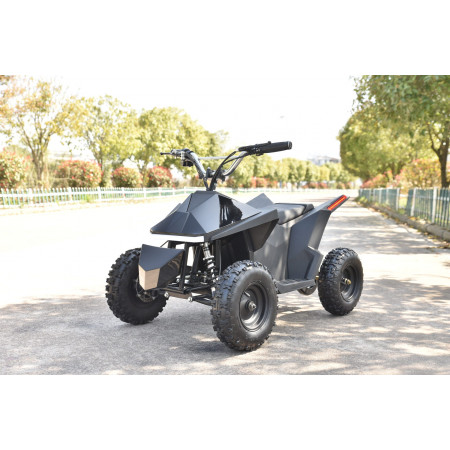Skyboard CyberTruck Sochi Kids 800W