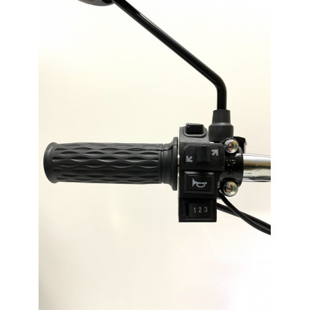 Электробайк GreenCamel Транк Монстр PRO (R16FAT 800W 60V20Ah) гидравл. тормоз
