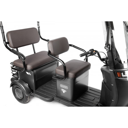 Электротрицикл Rutrike Gelbert Bos 48V/60V 800Вт, 0000274