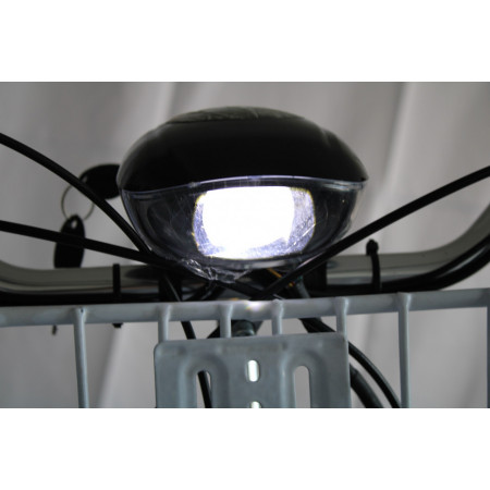 Электробайк GreenCamel Трайк-24 V3 (R24 350W 48V12Ah) 7 скор