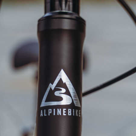 Велосипед детский Alpinebike Pegas 3-20 фиолетовый космос