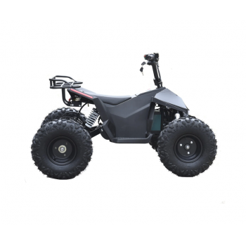 Skyboard CyberTruck Karelia 1800W