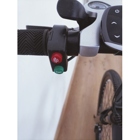 Электробайк GreenCamel Мустанг (R27,5 350W 36V 10Ah) 21 скорость