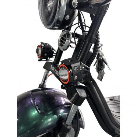Электроскутер Skyboard Ural 2WD + LiFePo4 (с подогревом)