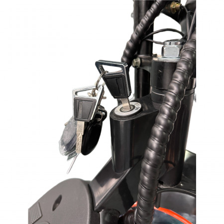 Электроскутер Skyboard Ural 2WD + LiFePo4 (с подогревом)